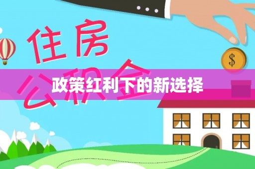 潮南政策红利下的新选择
