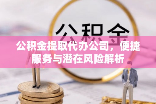 潮南公积金提取代办公司，便捷服务与潜在风险解析