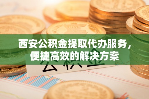 潮南西安公积金提取代办服务，便捷高效的解决方案