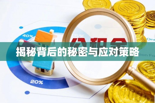 潮南揭秘背后的秘密与应对策略