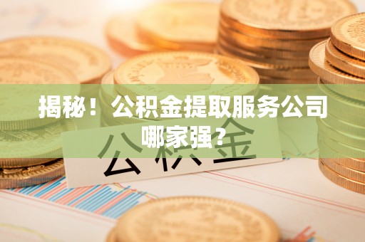 潮南揭秘！公积金提取服务公司哪家强？