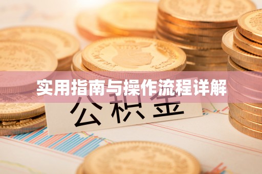 潮南实用指南与操作流程详解